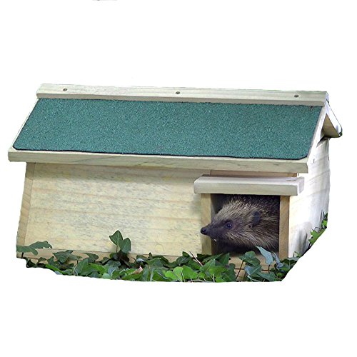 Hedgehog Habitat