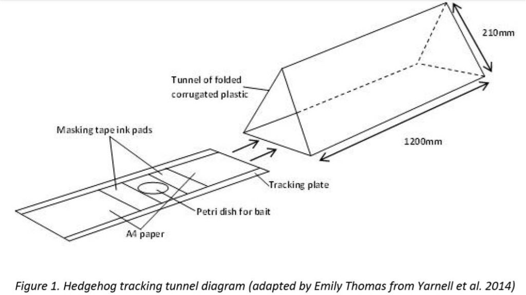 Hedgehog Tracking Tunnel