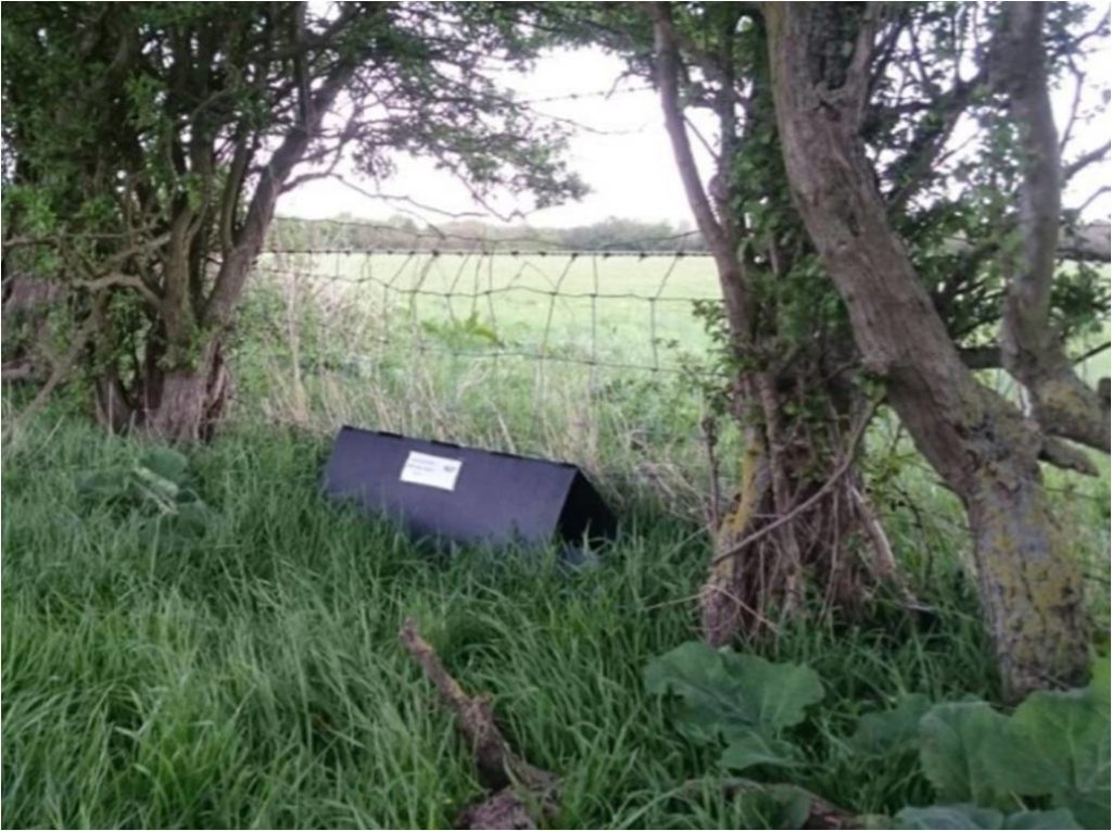 Made Up Hedgehog Tunnel Sited Under Trees